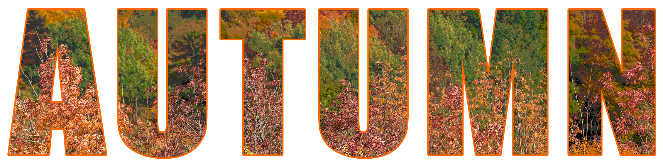 AUTUMN